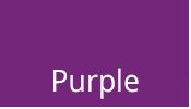 Purple Survey Marking Paint 20 oz
