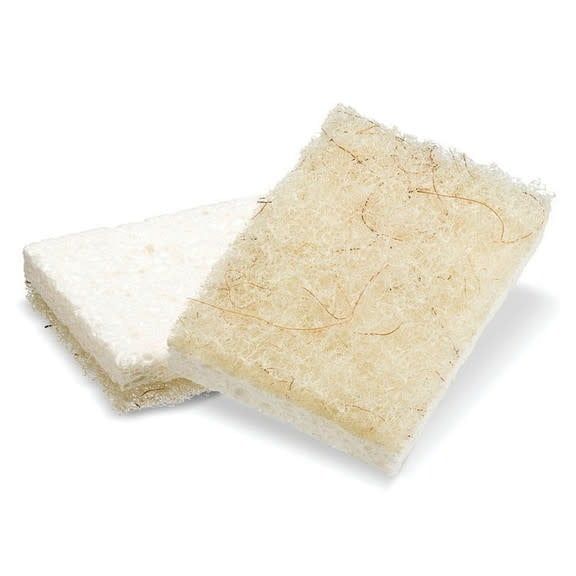 Full Circle Coconut Scrub Sponge