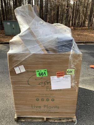 Whole Pallets