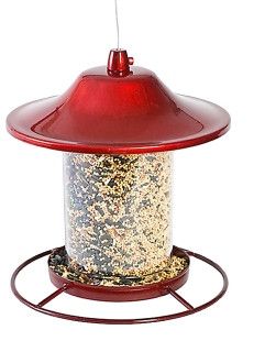 Birdfeeder Panorama Red - 2lbs