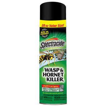 Spectracide - Wasp &amp; Hornet Killer Jet Spray 20 oz