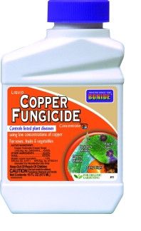 Bonide Captain Jack&#39;s -  Copper Fungicide Concentrate - 16 oz.