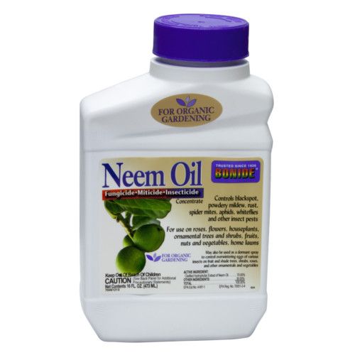 Bonide Captain Jack’s Neem Oil Concentrate 16  oz