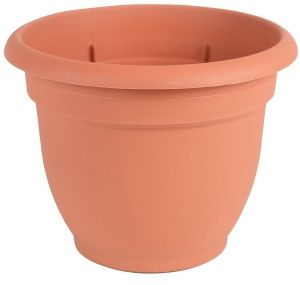 Bloem Self-Watering Planter Round Plastic  6&#39;&#39;