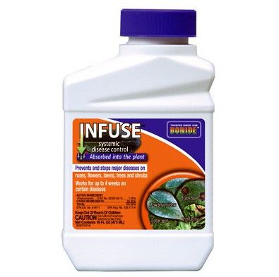 Bonide - Infuse Systemic Disease Control - 16 FL OZ