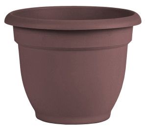 Bloem Ariana Planter Merlot 10&#39;&#39;