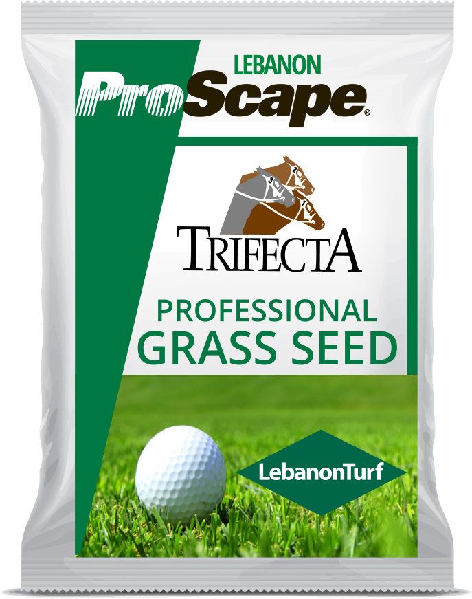 Lebanon ProScape Trifecta II GLSR Perennial Rye Blend 25 Lb Grass Seed