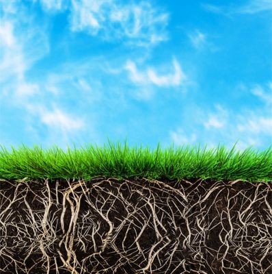 Soil Amendments