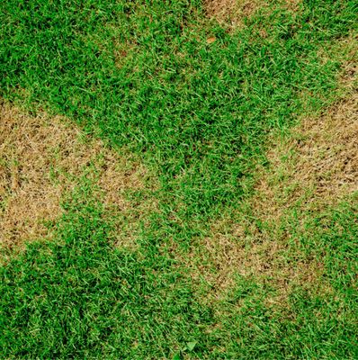 Fungicides