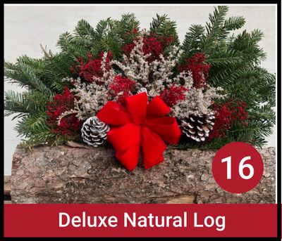 Deluxe Natural Log