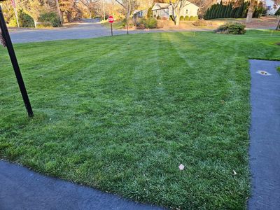 DIY Lawn Care