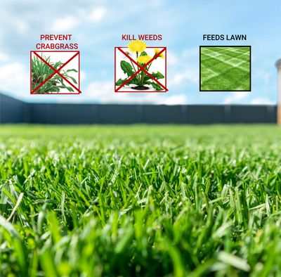 Weed &amp; Feed Plus Crabgrass Preventer