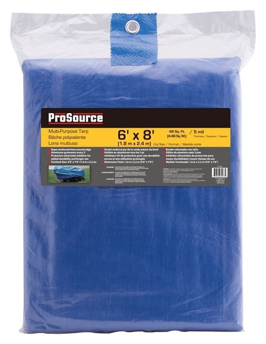 ProSource 6&#39; x 8&#39; Blue Tarp