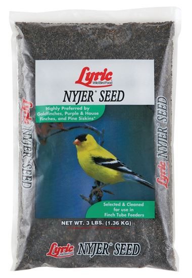 Lyric Nyjer Seed - 3 lb bag