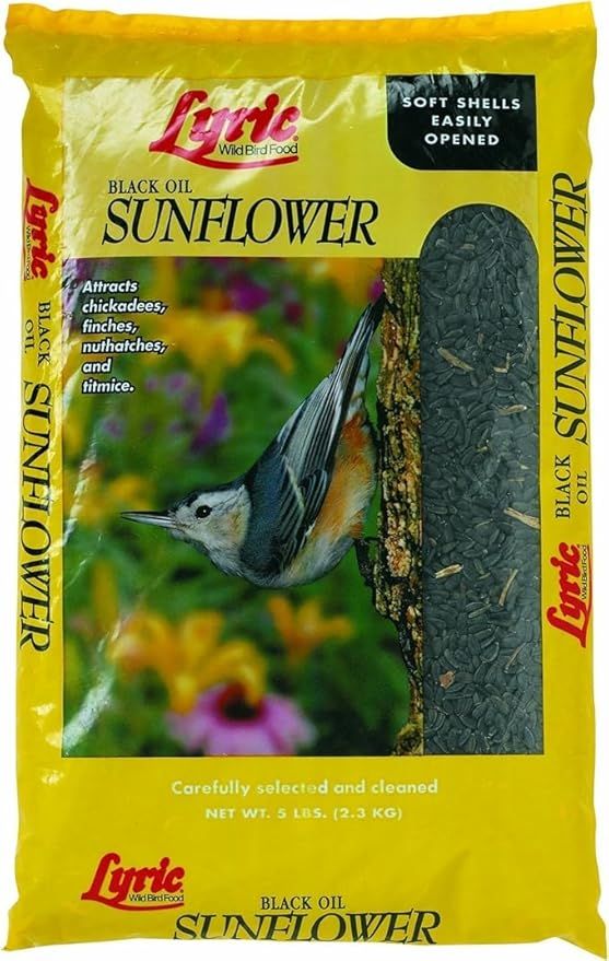 Lyric Black Oil Sunflower Seed - 5 lbs