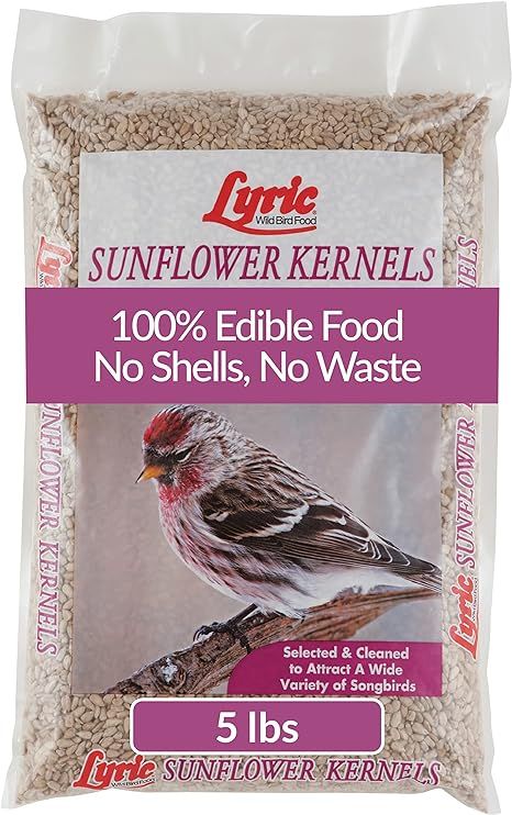 Lyric Sunflower Kernels 5 lb bag