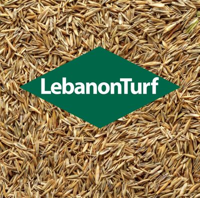 Lebanon Turf Grass Seed