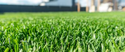Stock Up DIY Lawn Care Sale