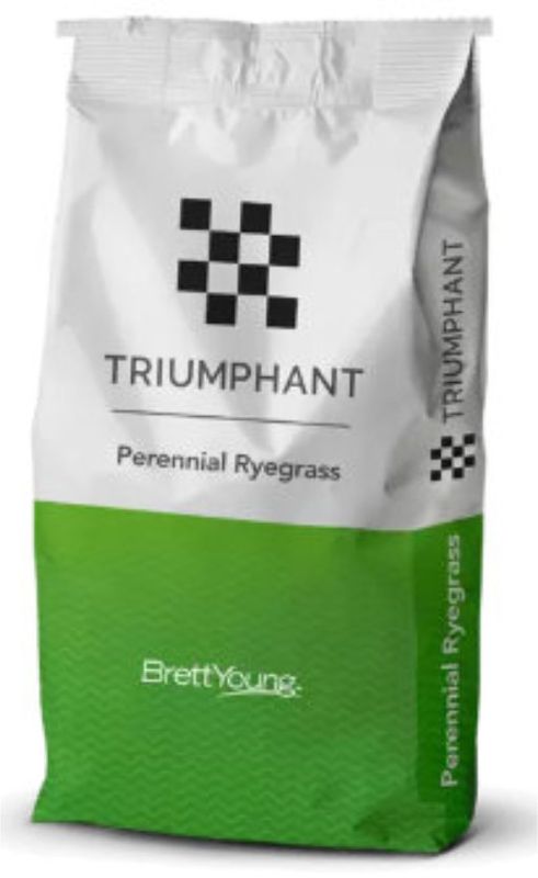 Triumphant 3-Way Rye Grass Seed 50 lb