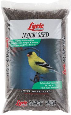 Lyric Nyjer Seed 10 lb bag