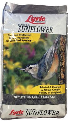 Lyric Black Oil Sunflower Seed - 25lbs