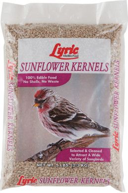 Lyric Sunflower Kernels 5 lb bag