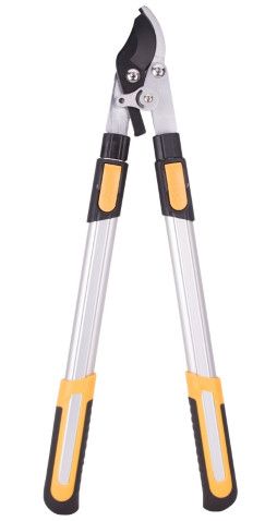 Landscape Select Shear Telescopic Bypass Lopper