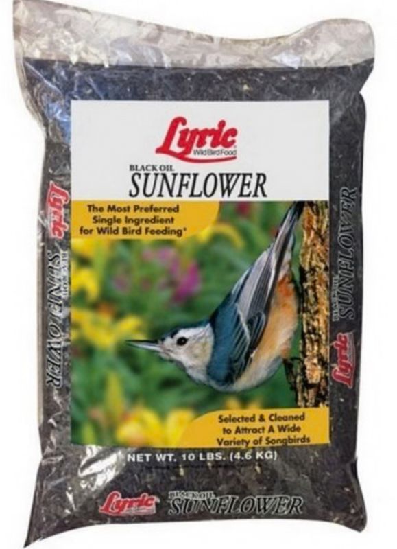 Lyric Black Oil Sunflower Seed - 10lbs