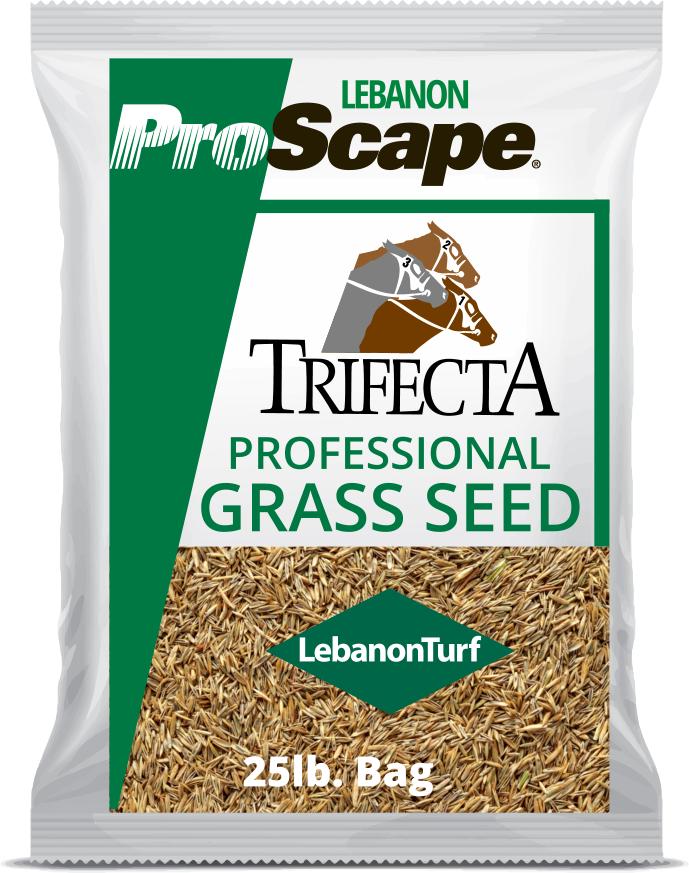 Lebanon ProScape Trifecta II GLSR Perennial Rye Blend 25 Lb Grass Seed Lebanon ProScape Trifecta II GLSR Perennial Rye Blend 25 Lb Grass Seed