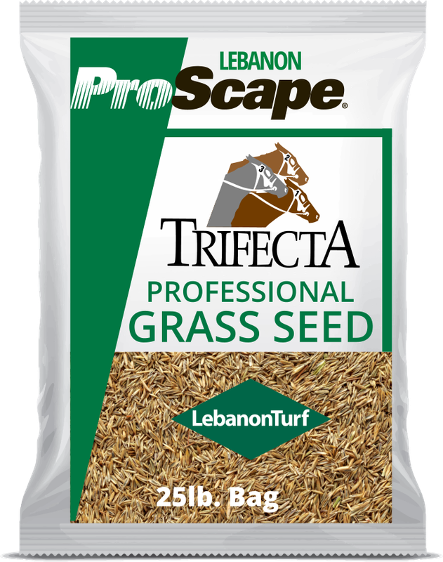 Lebanon ProScape Trifecta II GLSR Perennial Rye Blend 25 Lb Grass Seed Lebanon ProScape Trifecta II GLSR Perennial Rye Blend 25 Lb Grass Seed