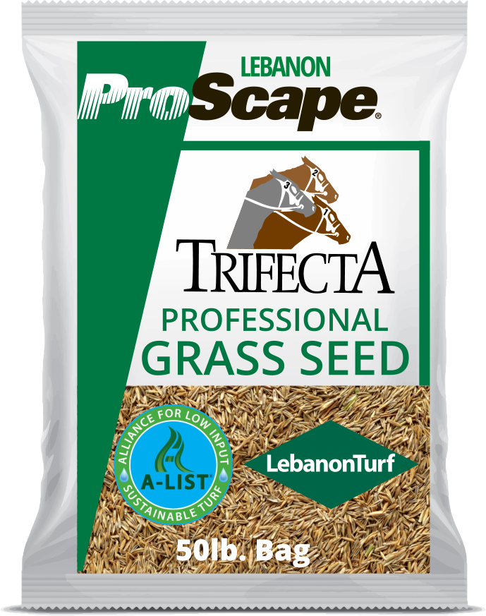 Lebanon Trifecta II GLSR Rye Blend Blu Tag Certified Grass Seed 50 lbs