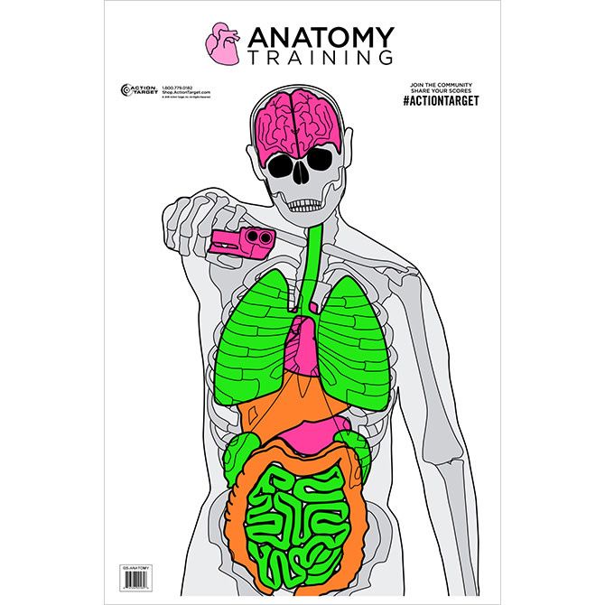 ACTION TARGET ANATOMY TRAINING PAPER TARGET
