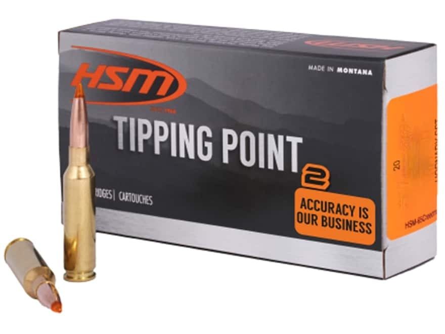 HSM 243WIN TIPPING POINT 95GR HORNADY SST 20RD BOX