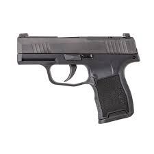 SIG SAUER - P365 380 MICRO COMP .380ACP (2)10RD 3.1"