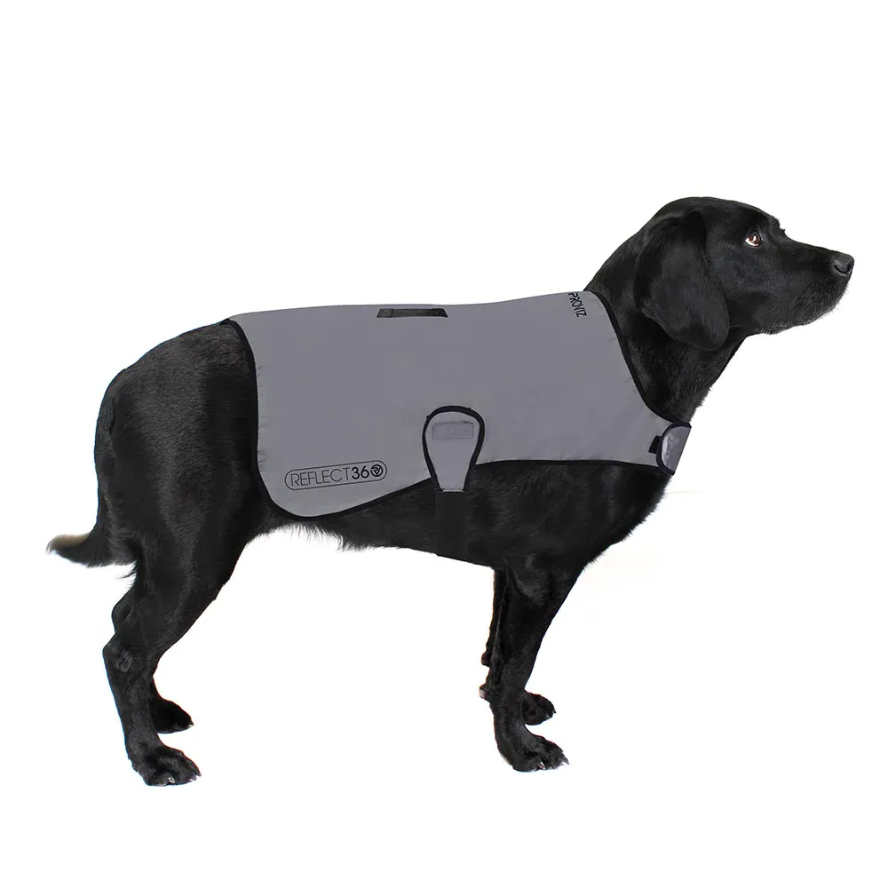 PROVIZ Dog Cover Reflective Silver