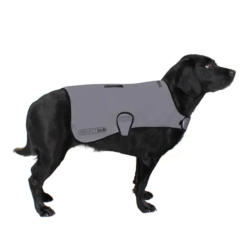 PROVIZ Dog Cover Reflective Silver
