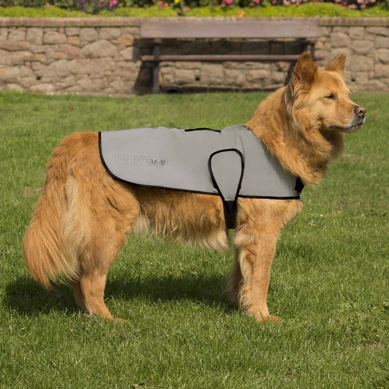 PROVIZ Dog Cover Reflective Silver