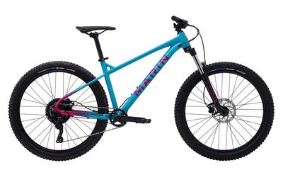 Hardtail
