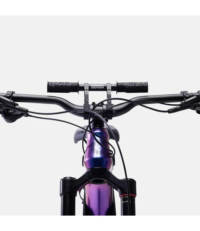 Kids Ride Shotgun Handlebar