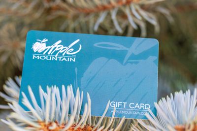 Gift Card $50