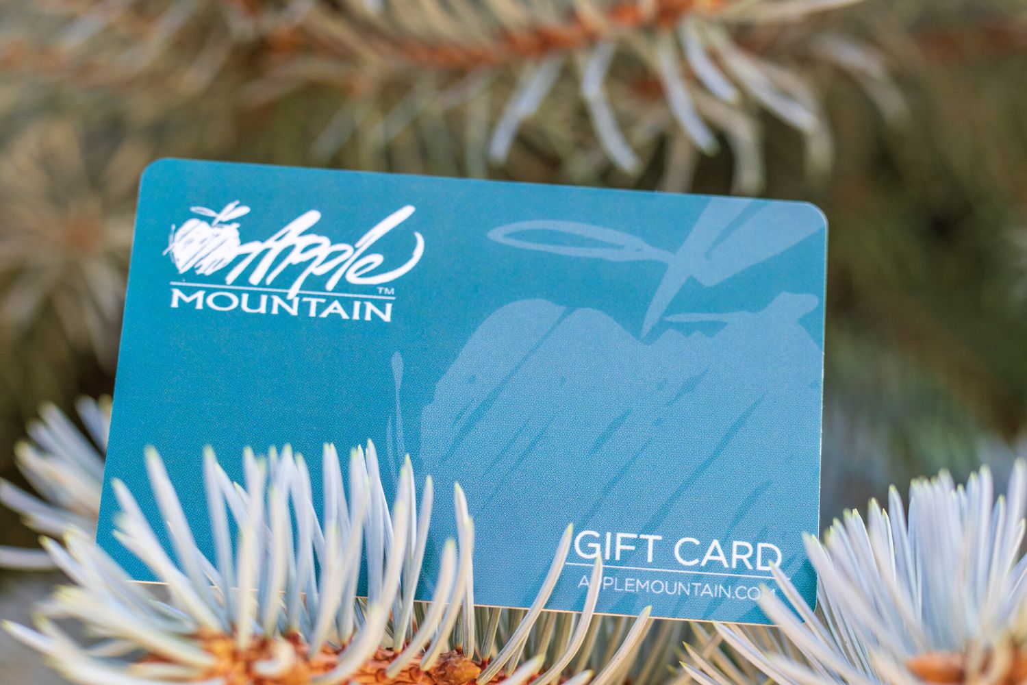 Gift Card $100