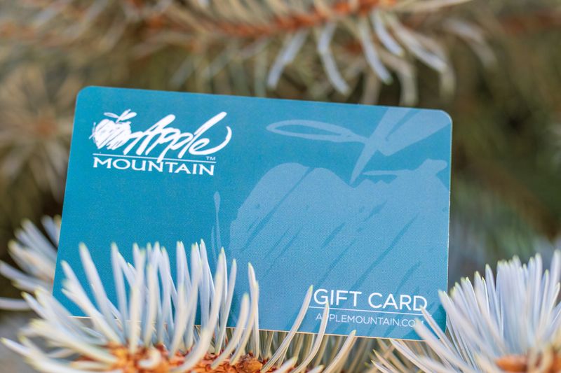 Gift Card $100