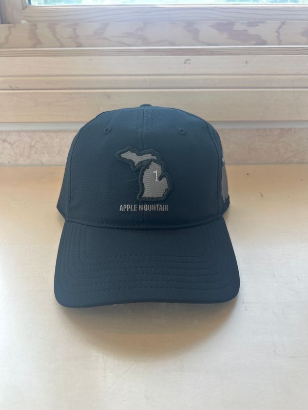 UA State of Michigan/Apple Mountain Logo Hat