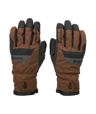 CP2 GORE-TEX GLOVE