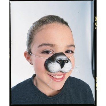 Cat Nose
