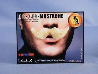 Debonair Grey Moustache