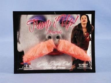 Ms. Bush Moustache