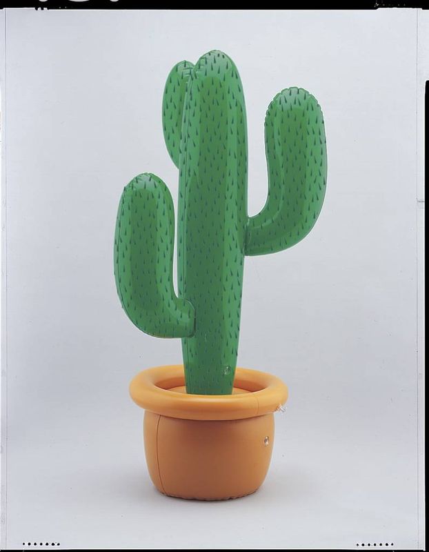 Inflatable Cactus 34&quot;