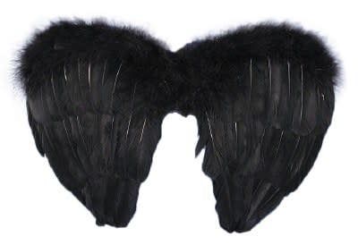 Mini Black Feather Wings