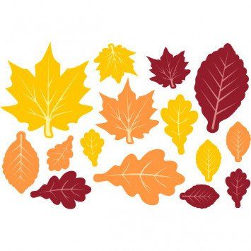 Fall Leaves Paper Value Pack Assorted Cutouts (30)